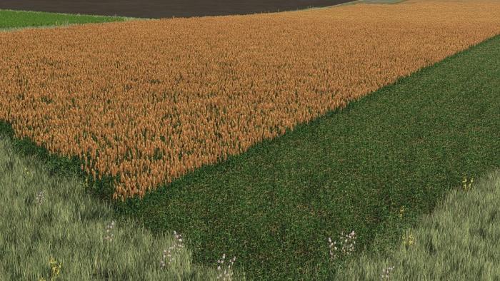 NEW SORGHUM TEXTURE READY FOR HARVEST V1.0.0.0