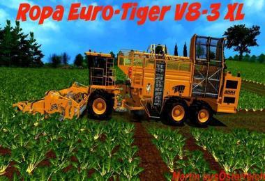ROPA EURO TIGER SET XXL V8