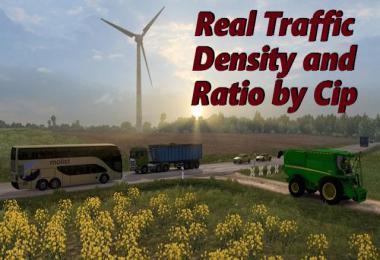 REAL TRAFFIC DENSITY AND RATIO 1.36.X