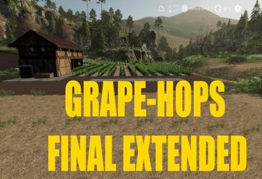 GRAPE PRODUCTION FINAL EXTENDED