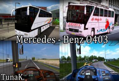 MERCEDES BENZ O403 BUS V1.0