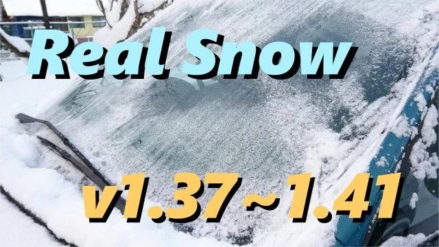 REAL SNOW V2.2