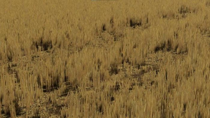 HIGH WHEAT STUBBLE WITH COMPACTION V1.0.0.0