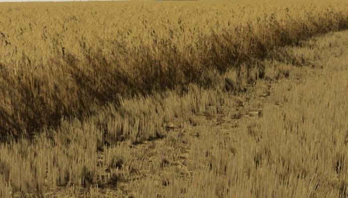 FS22 BARLEY AND WHEAT TEXTURES V1.0.0.0