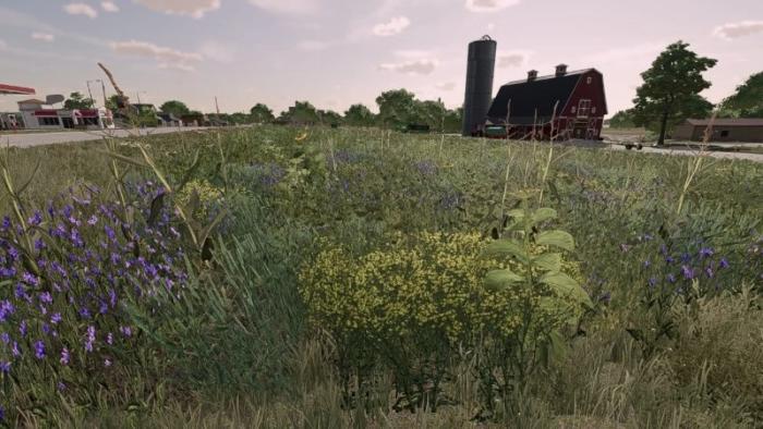 New Oil Radish v1.0.0.0