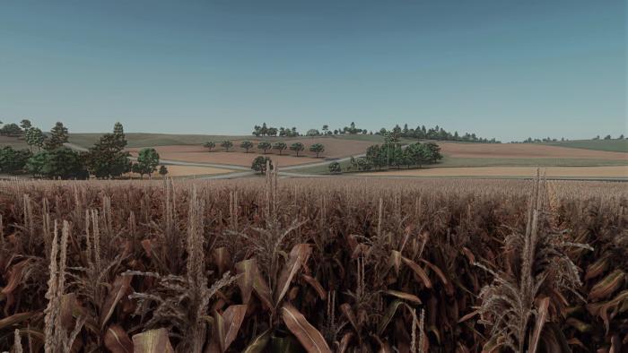 Forest Wisconsin v1.0.0.0