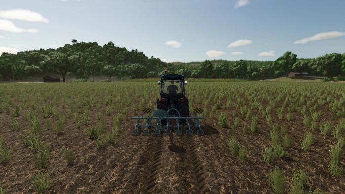 Lizard P430 v1.0.0.0